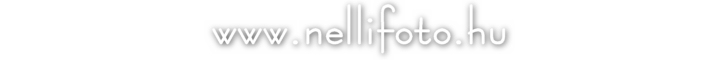 www.nellifoto.hu